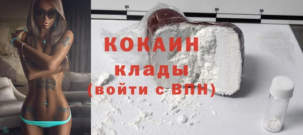 ПСИЛОЦИБИНОВЫЕ ГРИБЫ Михайлов
