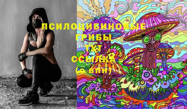 ALPHA PVP Куйбышев