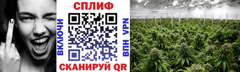 Шишки марихуана индика  Тимашёвск 